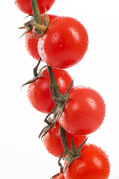 Free photo fresh cherry tomatoes on a branch