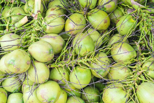 fresh coconuts for background