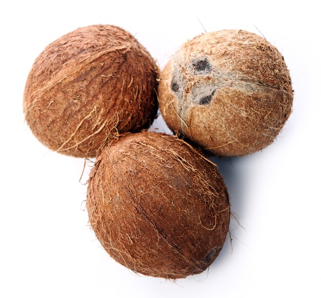 Fresh coconuts on white surface