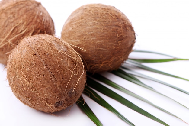 Fresh coconuts on white surface