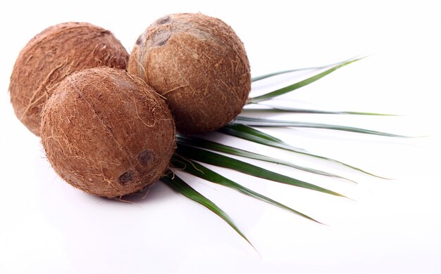 Fresh coconuts on white surface