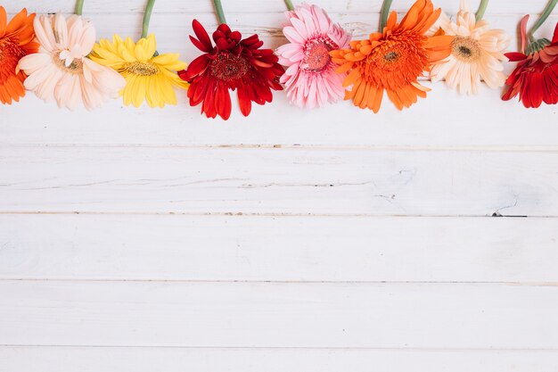 Fresh colorful flowers on table