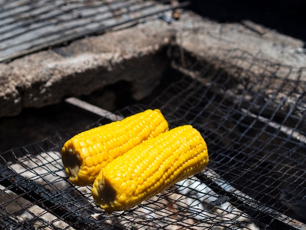 Fresh corn on iron grate