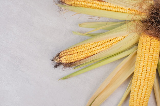 Free photo fresh corns on cobs on white.