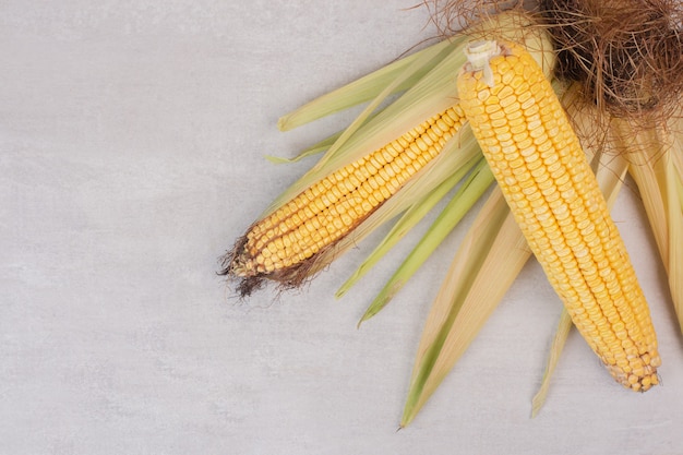 Free photo fresh corns on cobs on white.