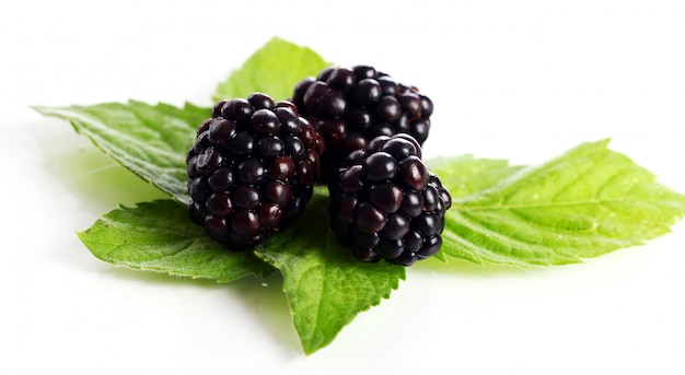 Fresh dewberry with leaves