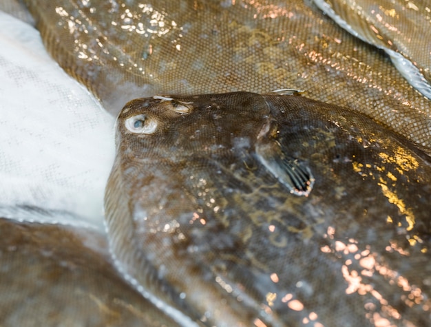 食品市場での新鮮な魚のスタック