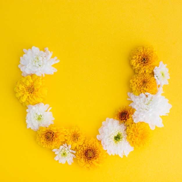 Fresh flower arch on yellow background