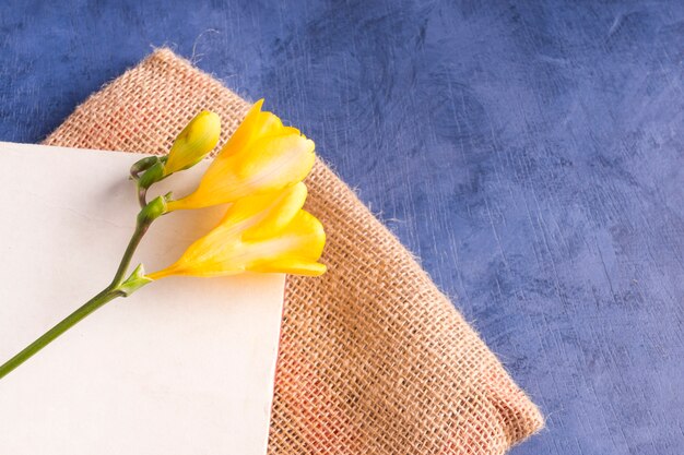 Fresh flower near sheet and burlap