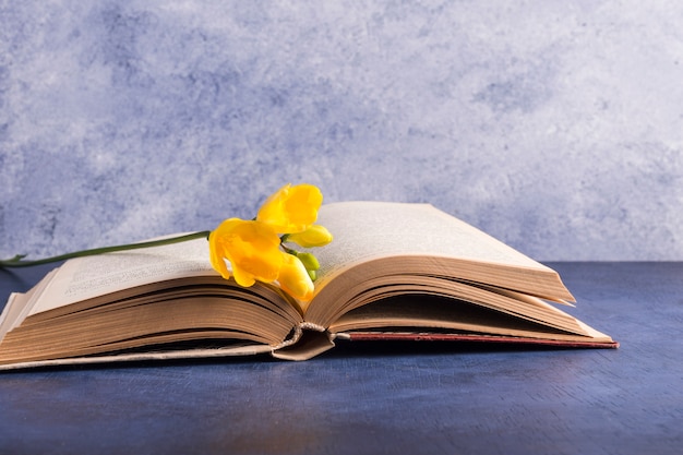 Fresh flower and opened book
