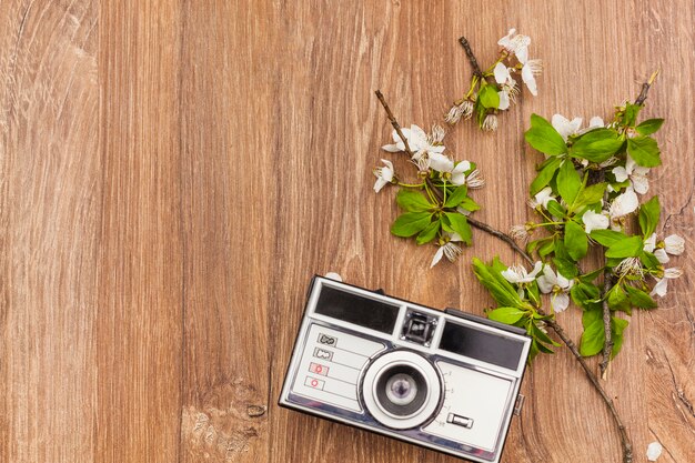 Fresh flowers and a camera