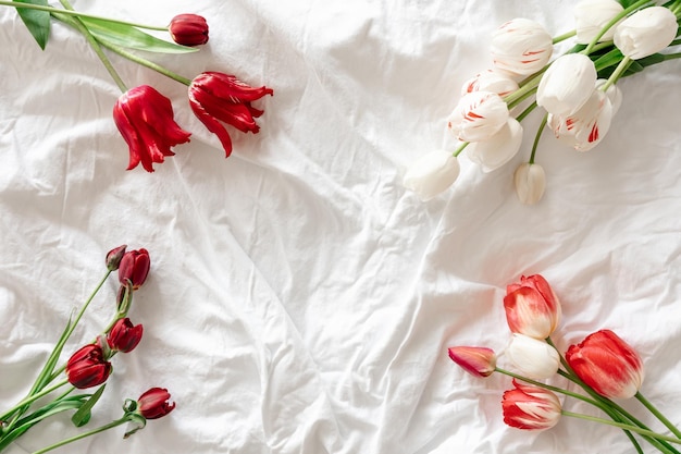 Free photo fresh flowers tulips in a white bed top view copy space