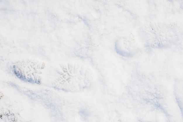 Fresh footprint on snow 