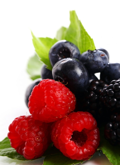 Fresh forest berries over white