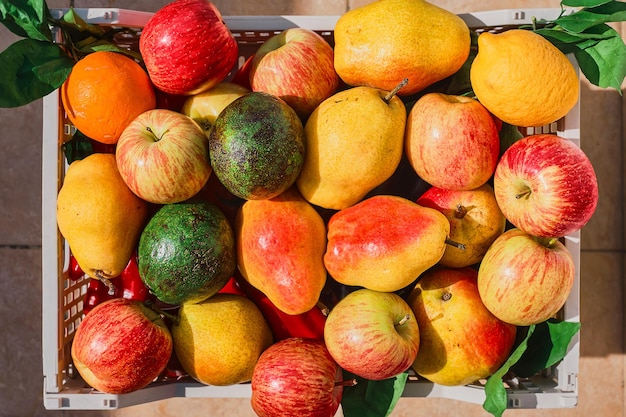 Fresh fruit basket from the farmers' market fresh natural seasonal fruits healthy and varied nutrition the basis of life Top view