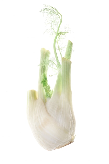 Fresh garlic isolated over white