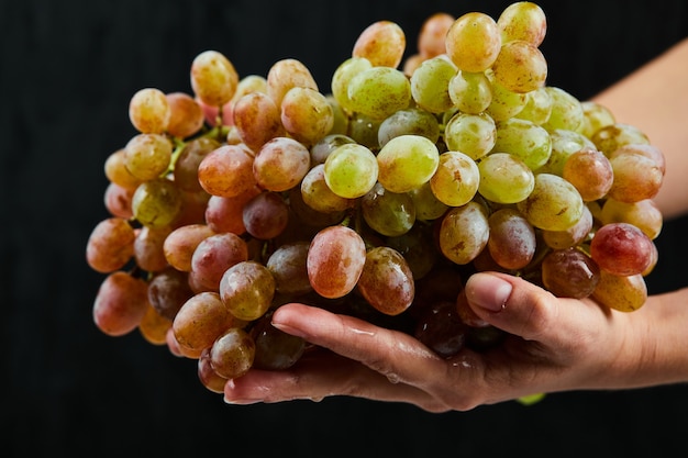 Fresh grapes in hand on black surface