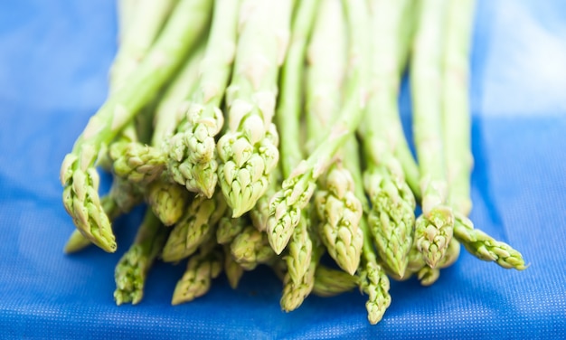 Fresh green asparagus tips on blue background