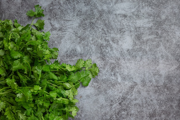 Foto gratuita coriandolo verde fresco sul pavimento scuro