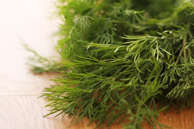 Fresh green dill