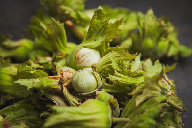 Fresh green hazelnuts on a dark brown. close-up.