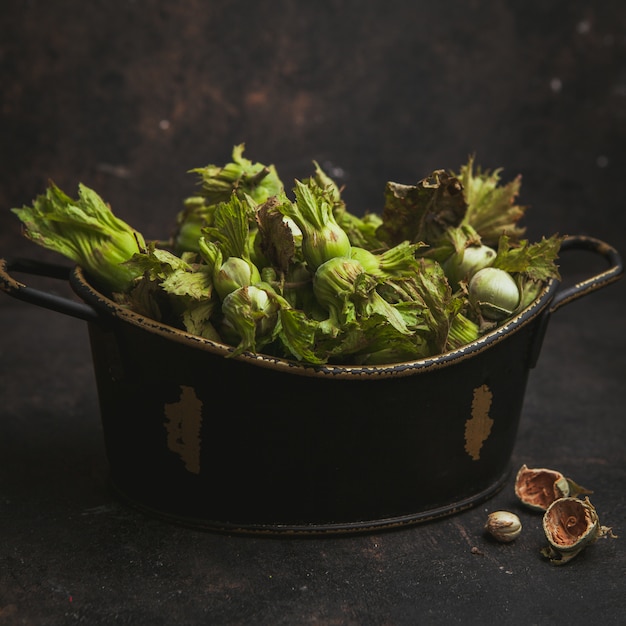 Fresh green hazelnuts in a pot on a dark brown. side view.