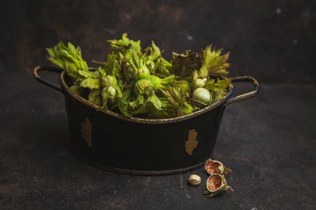 Fresh green hazelnuts in a pot side view on a dark brown
