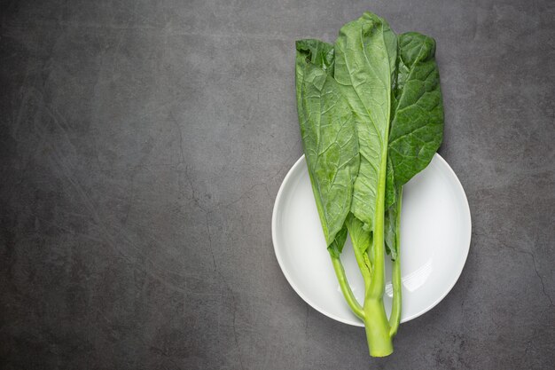 fresh green kale on white plate