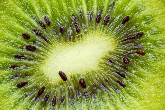 A fresh green kiwi fruit