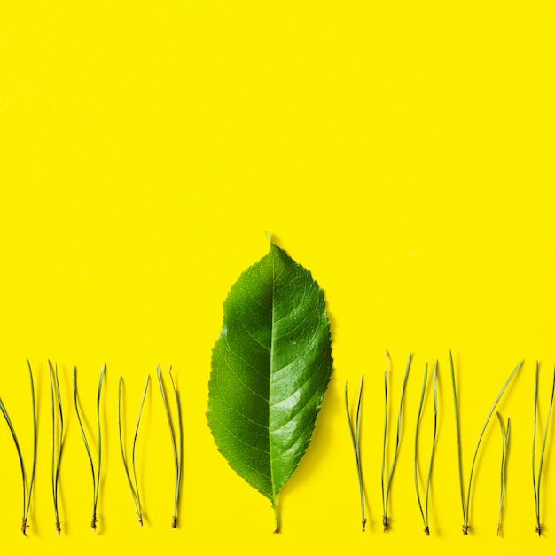 Свежий зеленый лист между травой на желтом фоне