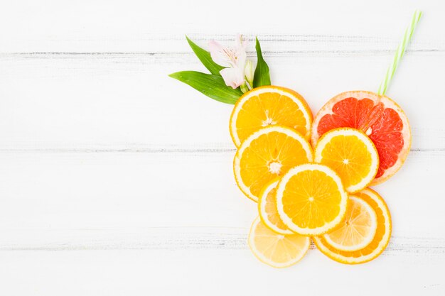 Fresh green plant leaves and slices of citruses with flower