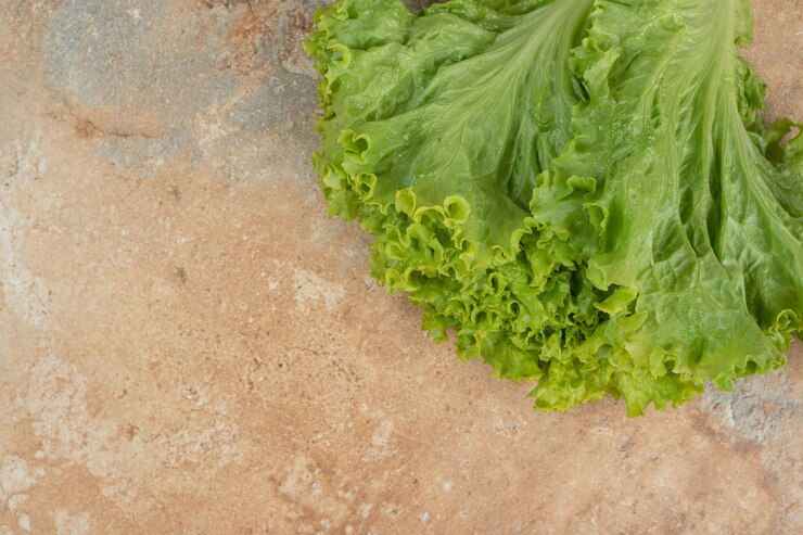 Free Photo fresh green vegetable on marble surface