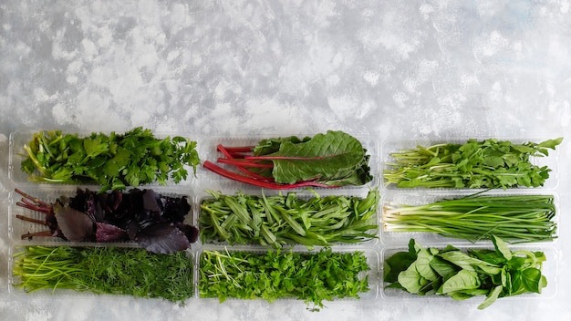 Fresh greens basil, coriander,lettuce,purple basil,mountain coriander,dill,green onion in plastic boxes on grey concrete