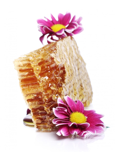 Free photo fresh honeycombs