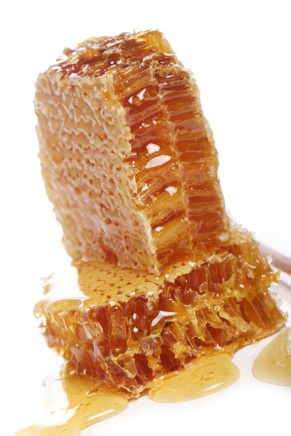 Fresh honeycombs