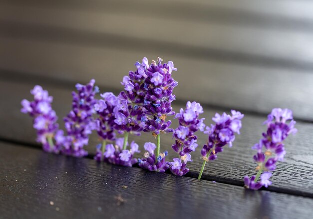 Fresh Lavender flowers on black plank table