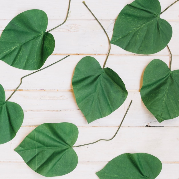 Free photo fresh leaves on wooden table