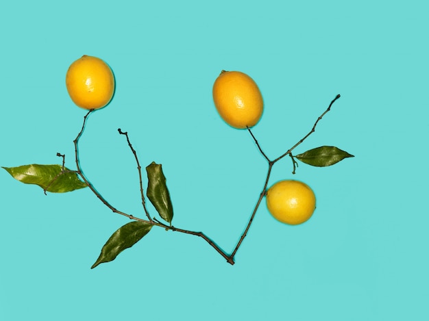 The fresh lemons on blue background