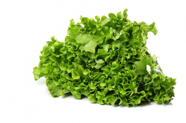 fresh lettuce isolated