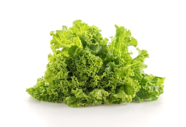 Fresh Lettuce