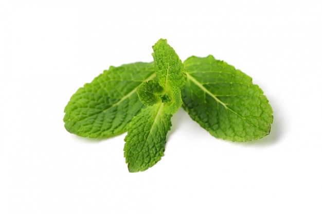 Fresh mint leaves isolated