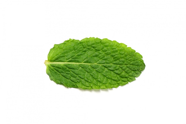 Free photo fresh mint leaves isolated