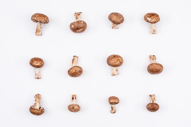 무료 사진 신선한 버섯 패턴