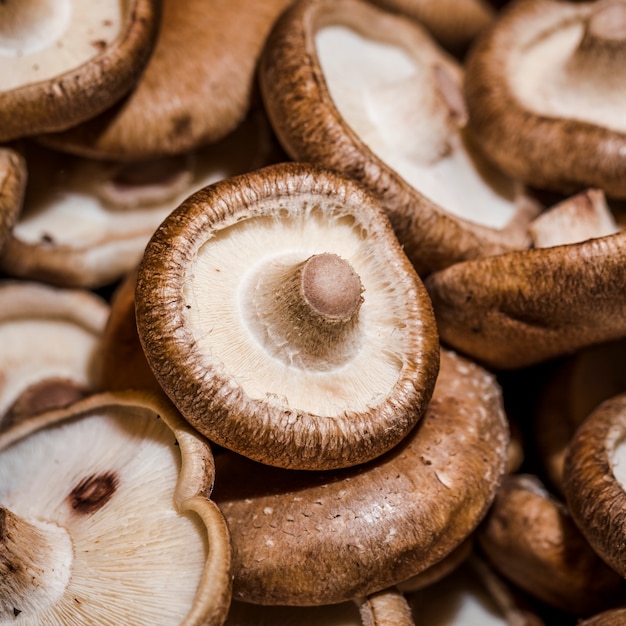 Foto gratuita funghi freschi da vendere nel mercato