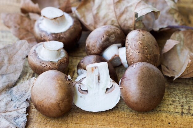 fresh mushrooms on wodden background