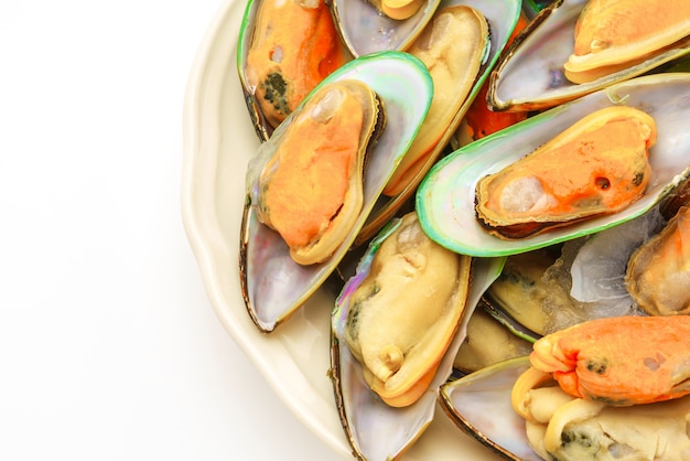 Fresh mussel on white background .