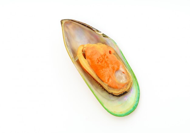 Fresh mussel on white background .