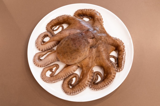 fresh octopus on a white dish, ready for cooking (top view)