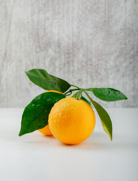 Fresh oranges with branch side view