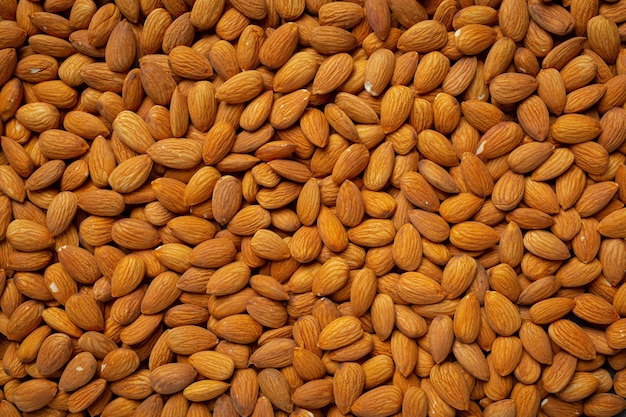 Fresh organic almonds  on dark background